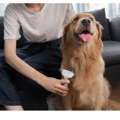 Pet Grooming Tool DOSE Premium Wellness Boost Capsules