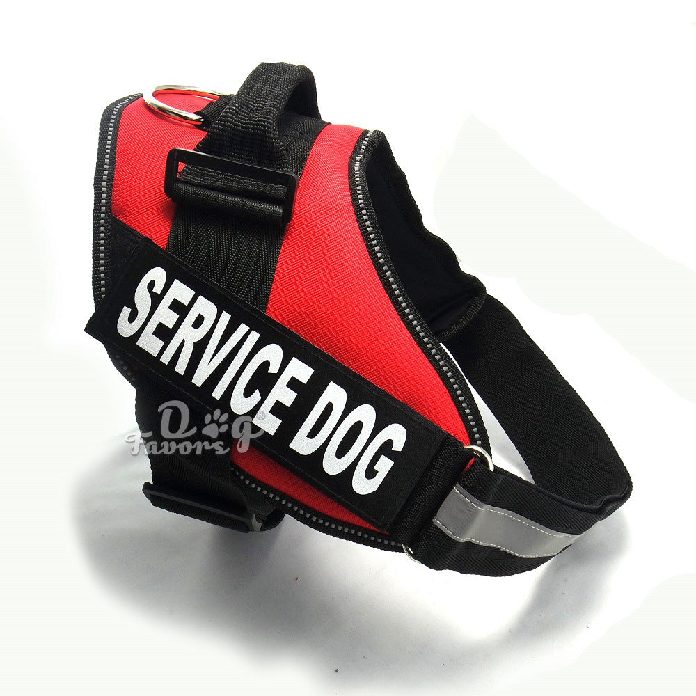 DogDogDogDogDogDOSE Premium Wellness Boost Capsules