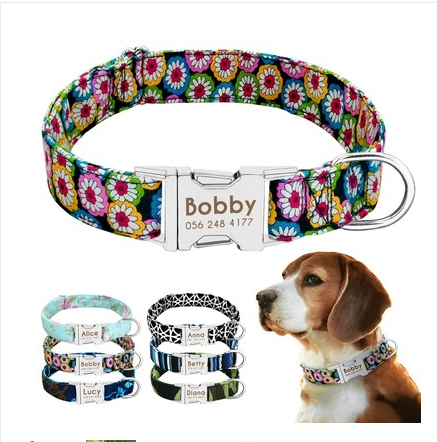 Cat Dog Collar Collar DOSE Premium Wellness Boost Capsules