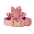 Goose Down Dog Collar Double Microfiber Rose Gold Buckle