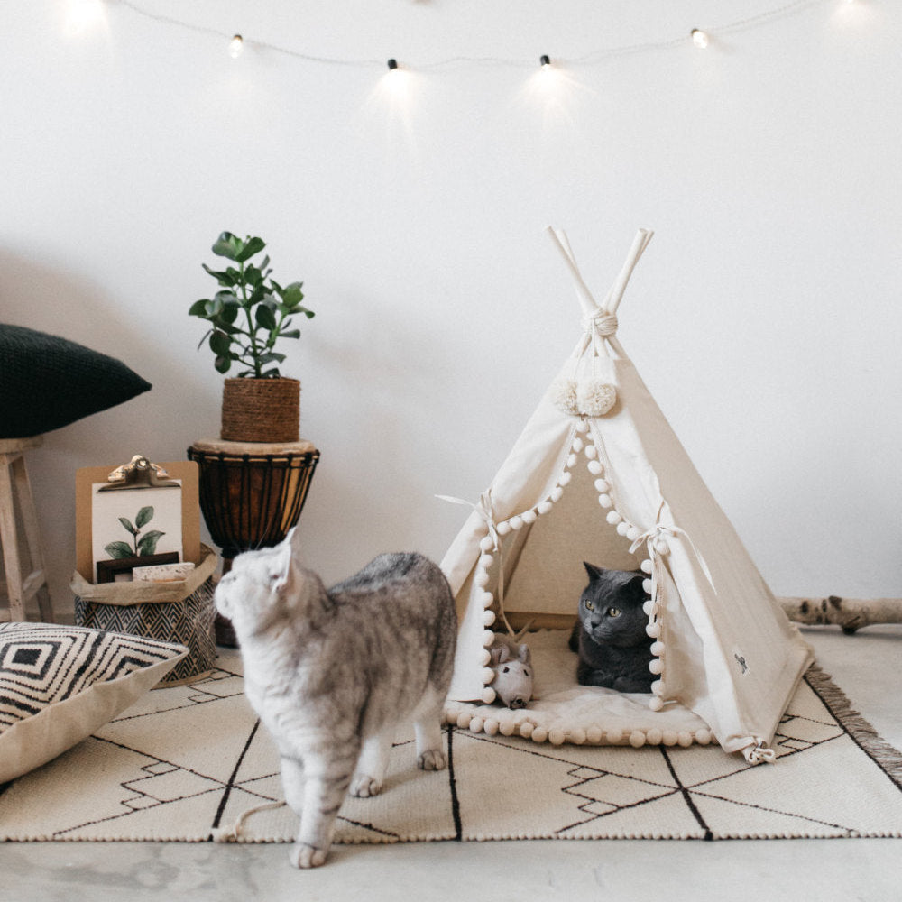 Pet Tent Bed DOSE Premium Wellness Boost Capsules