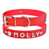 DIY Alphabet Dog Name Pet Collar Wear Accessories