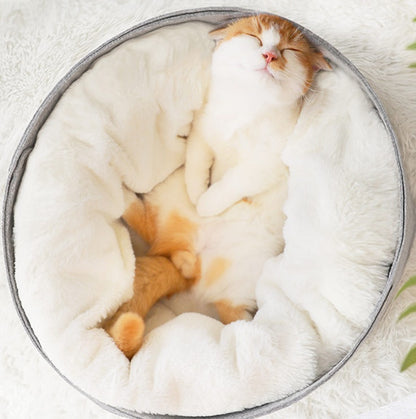pet bed DOSE Premium Wellness Boost Capsules