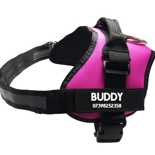 BUDDY DOSE Premium Wellness Boost Capsules