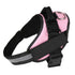 Personalized Dog Harness No Pull Reflective Breathable