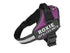 Personalized Dog Harness No Pull Reflective Breathable