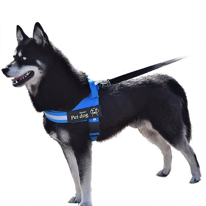 Dog Walking Chain Leash Medium And Large Dog on a black Siberian Husky wearing a blue harness.