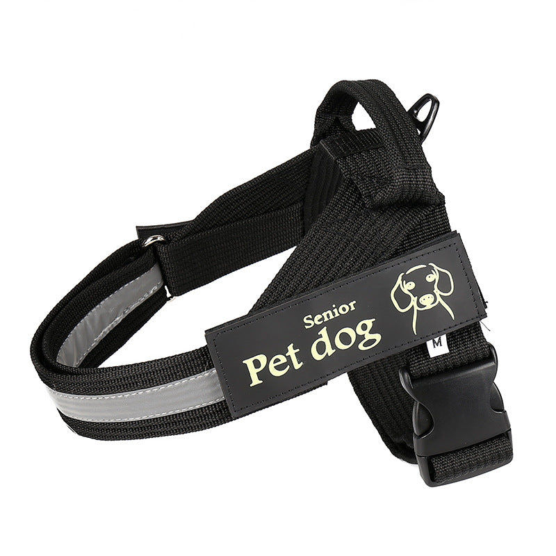 Dog Walking Chain Leash Medium And Large Dog 