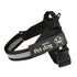 Dog Walking Chain Leash Medium And Large Dog 
