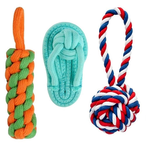 Interactive Pet Chew Toy